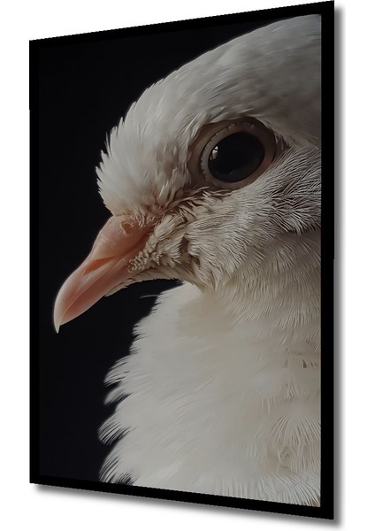 Beyaz Güvercin Yağlı Boya Görünümlü Ahşap Dekoratif Tablo Dikdörtgen Tablo indirimleri