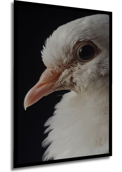 Beyaz Güvercin Yağlı Boya Görünümlü Ahşap Dekoratif Tablo Dikdörtgen Tablo