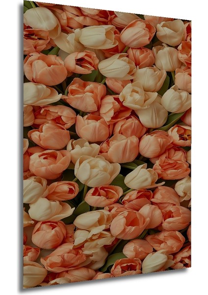 Canlı Lale Yağlı Boya Görünümlü Ahşap Dekoratif Tablo Dikdörtgen Tablo fırsatları