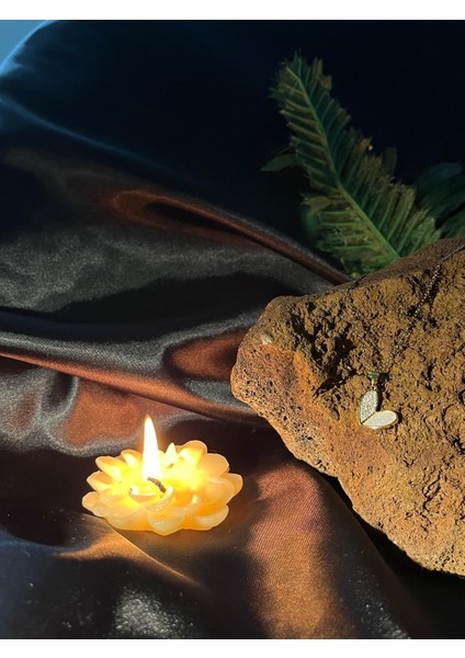 Pırlanta Taş Detaylı Çelik Kalp Kolye fiyatları