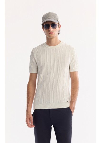 Erkek Ekru Bisiklet Yaka Rayon Tüylenmeyen Çizgili Triko Regular Fit T-Shirt A52Y5005