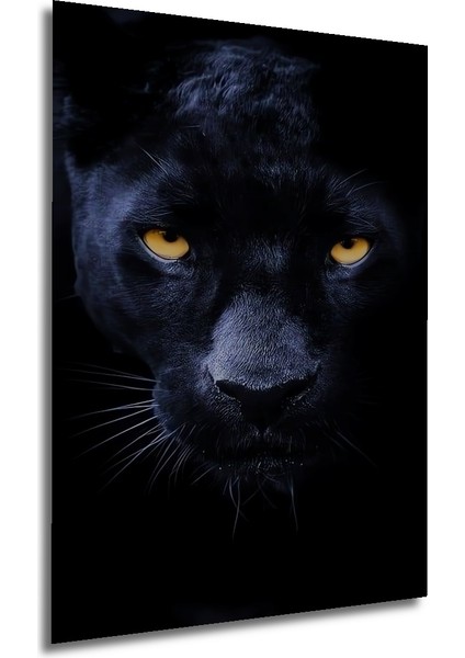 Kara Panter Yağlı Boya Görünümlü Ahşap Dekoratif Tablo Dikdörtgen Tablo fırsatları