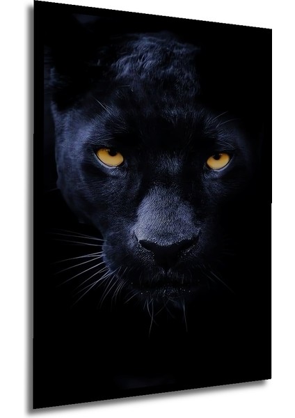 Kara Panter Yağlı Boya Görünümlü Ahşap Dekoratif Tablo Dikdörtgen Tablo