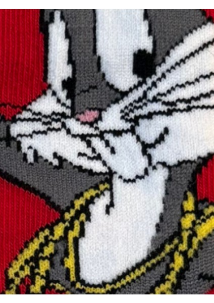 Unisex Renkli Eğlenceli Hediyelik Çorap fiyatları