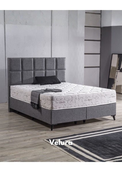 Mira Form Tek Kişilik Yatak Baza Başlık Seti (100 x 200)