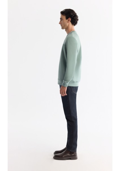 Erkek Mint Yeşil Bisiklet Yaka Pamuklu Baskılı Elastan Regular Fit Sweatshirt A42Y1267