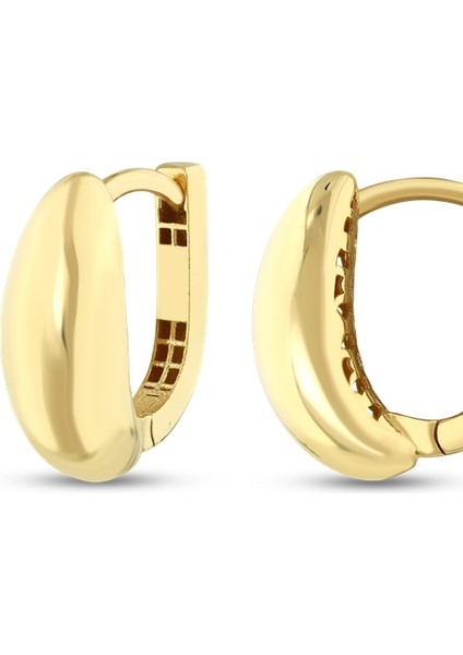 Tasarım Altın Küpe - 14K fiyatları