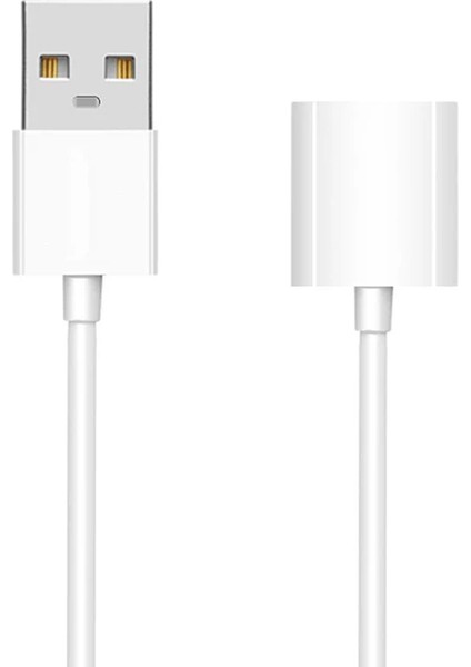 Ally Apple Pencil/kalem Için USB Şarj Kablosu 1 METRE-(5775) - ?38?56E3-1G6638 fırsatları