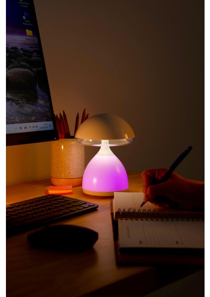 Mantar Lamba, Gece Lambası, Masa Lambası, Abajur fiyatları