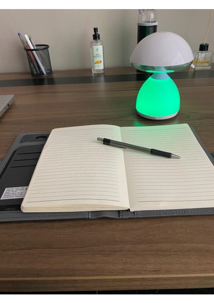 Mantar Lamba, Gece Lambası, Masa Lambası, Abajur modelleri