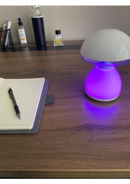 Mantar Lamba, Gece Lambası, Masa Lambası, Abajur indirimleri