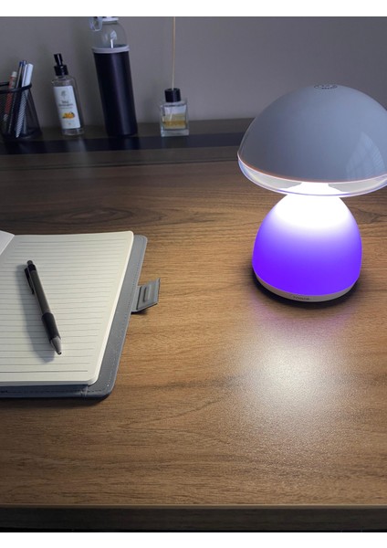 Mantar Lamba, Gece Lambası, Masa Lambası, Abajur