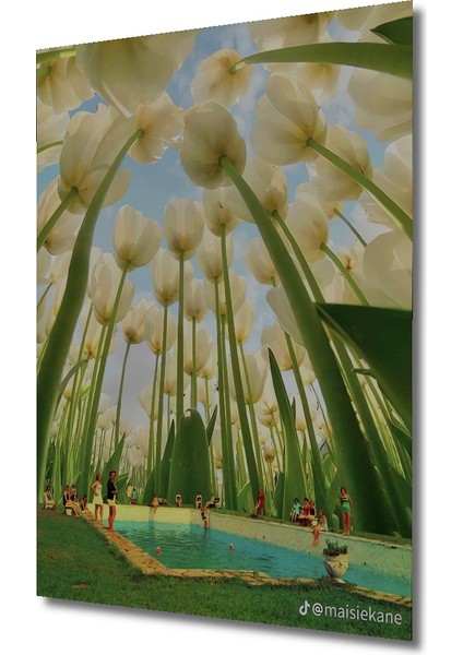 Dev Boyutlu Beyaz Lale Manzarası Sulu Boya Görünümlü Dekoratif Ahşap Tablo Dikdörtgen Tablo modelleri