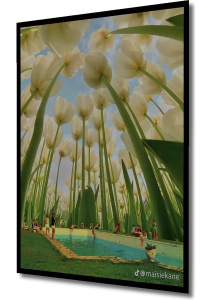 Dev Boyutlu Beyaz Lale Manzarası Sulu Boya Görünümlü Dekoratif Ahşap Tablo Dikdörtgen Tablo fırsatları