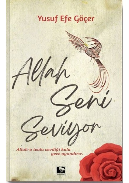 Allah Seni Seviyor