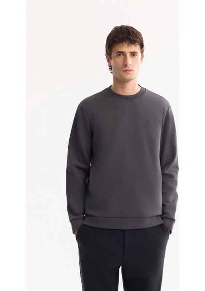 Erkek Antrasit Bisiklet Yaka Pamuklu Bi-Stretch Regular Fit Sweatshirt A52Y1271