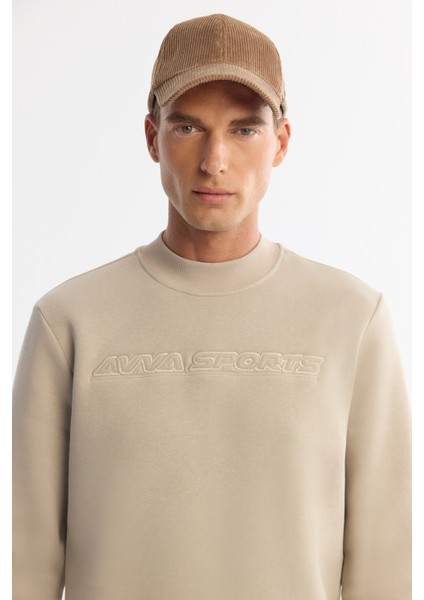 Erkek Taş Bisiklet Yaka 3 İplik Şardonlu Baskılı Regular Fit Sweatshirt A42Y1306