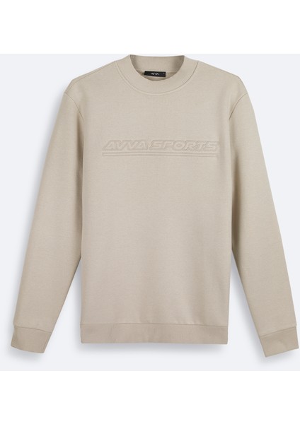 Erkek Taş Bisiklet Yaka 3 İplik Şardonlu Baskılı Regular Fit Sweatshirt A42Y1306