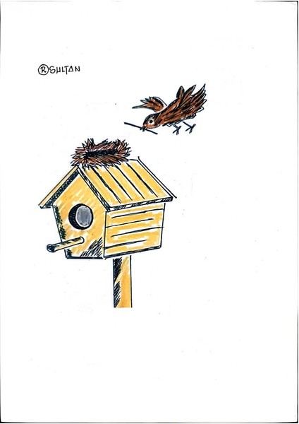 Resad Sultanovic 29X21CM Orijinal Karikatür Tablo modelleri