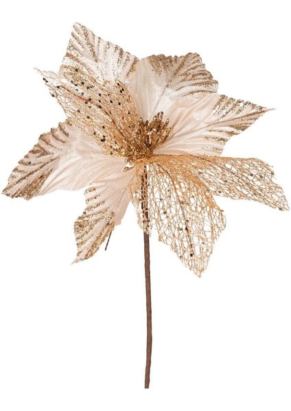 Yılbaşı Çiçeği Şampanya 30 Cm.