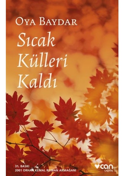 Sıcak Külleri Kaldı