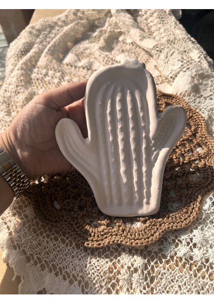 Boyanabilir Kaktüs Tabak, Sonbahar Dekorasyon