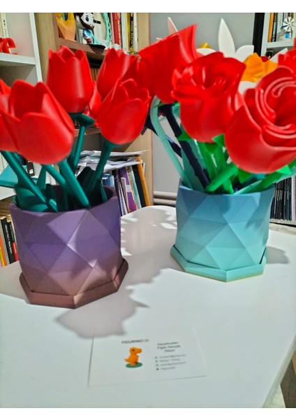 🌈 Modern Desenli Rainbow Renkli 2 Parçalı Çiçek Saksısı