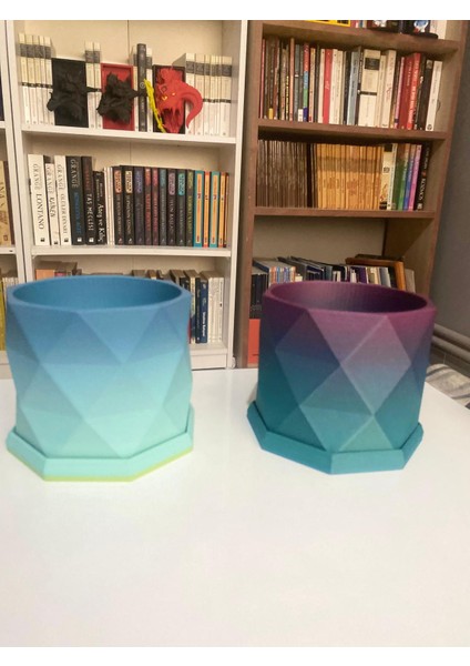 🌈 Modern Desenli Rainbow Renkli 2 Parçalı Çiçek Saksısı fırsatları