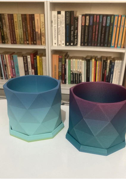 🌈 Modern Desenli Rainbow Renkli 2 Parçalı Çiçek Saksısı indirimleri