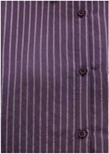 Tencel Tm Liyosel Karışımlı Çizgili Mor Gömlek Regular Fit / Normal Kesim 1211374-91373