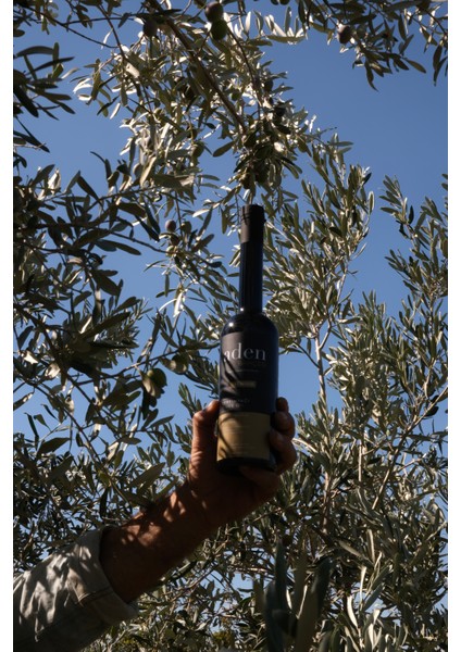 2025-2026 Aden Bahçesi Premium Erken Hasat Natürel Sızma Zeytinyağı 500 ml fiyatları