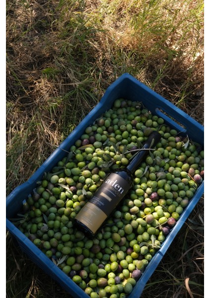 2025-2026 Aden Bahçesi Premium Erken Hasat Natürel Sızma Zeytinyağı 500 ml modelleri