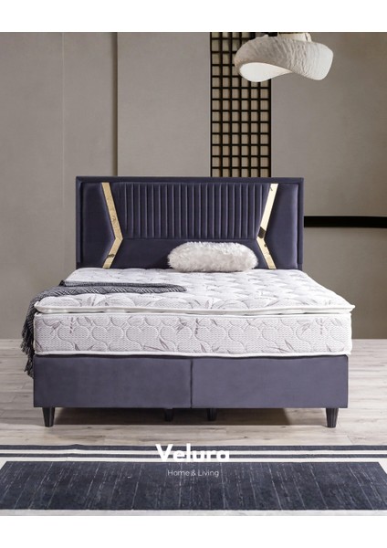 Elisa Form Tek Kişilik Yatak Baza Başlık Seti (100 x 200) modelleri