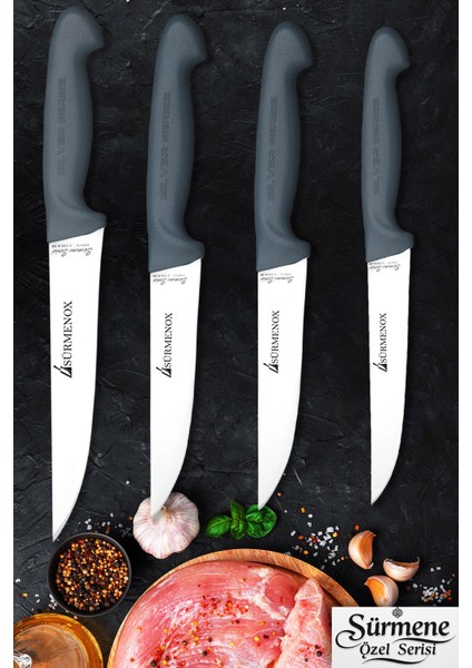 Sürmene Gri Serisi Mutfak Bıçak Seti Et Ekmek Sebze Meyve Bıçağı 4 Lü Set Günlük Kullanım HDS-109