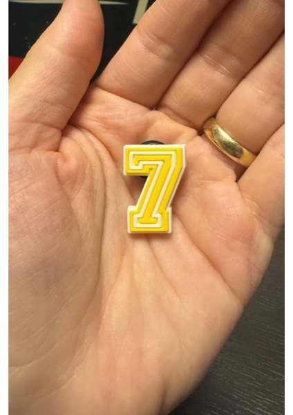 Terlik Süsü/7 Rakamı