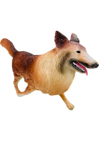 Soft Köpekler - Golden Retriever Cinsi Köpek - E013 (Lisinya)