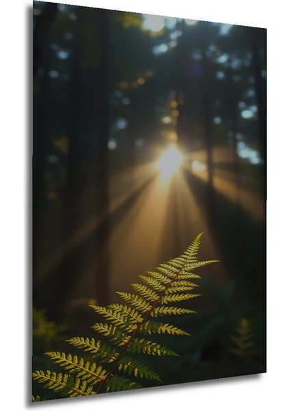 Orman Işıkları ve Eğrelti Otu Yağlı Boya Görünümlü Ahşap Dekoratif Tablo Dikdörtgen Tablo fırsatları