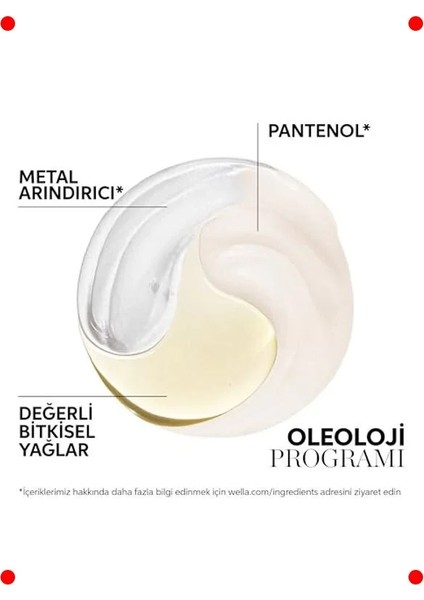 Işıltı Veren Şampuan - Tüm Saç Tipleri Için 250 ml fırsatları