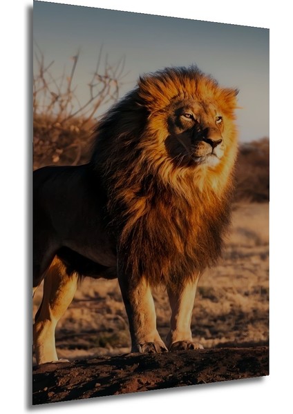 Aslanın Gücü Yağlı Boya Görünümlü Dekoratif Ahşap Tablo Dikdörtgen Tablo fırsatları