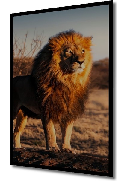 Aslanın Gücü Yağlı Boya Görünümlü Dekoratif Ahşap Tablo Dikdörtgen Tablo indirimleri
