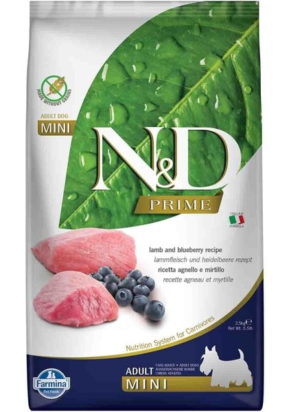 Tahılsız Kuzu Etli Yaban Mersinli Küçük Irk Yetişkin Köpek Maması 2,5 kg Yüksek Protein