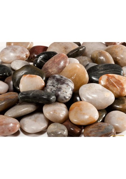 Dekoratif Doğal Taş | Bahçe, Saksı, Vazo, Süsleme Taşı (2 Kg)