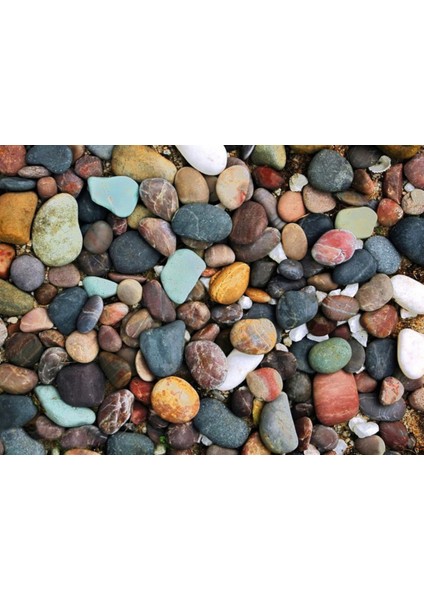 Dekoratif Doğal Taş | Bahçe, Saksı, Vazo, Süsleme Taşı (2 Kg) fiyatları