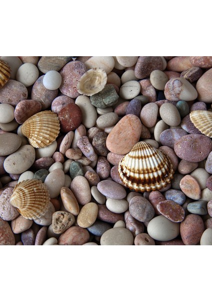 Dekoratif Doğal Taş | Bahçe, Saksı, Vazo, Süsleme Taşı (2 Kg) fırsatları