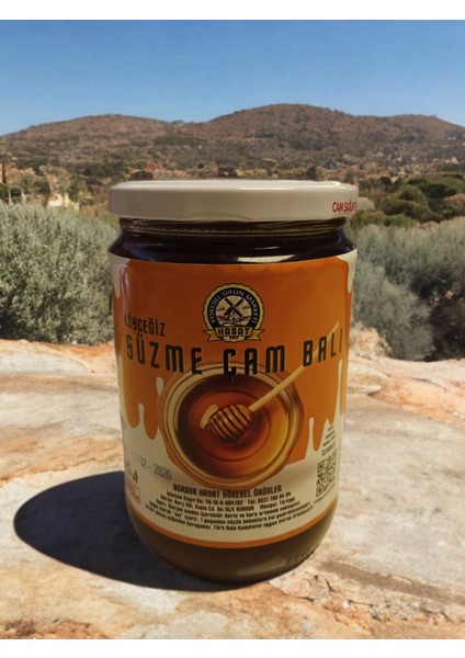 850 gr Köyceğiz Doğal Çam Balı