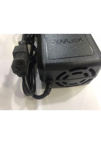 72V 50-80AH Şarj Aleti Tam Otomatik Devre Kesicili fiyatları