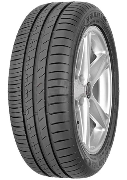 205/55R16 91V Efficientgrip Performance Renault 3 Kanal Oto Yaz Lastiği (Üretim Yılı : 2024) fiyatları