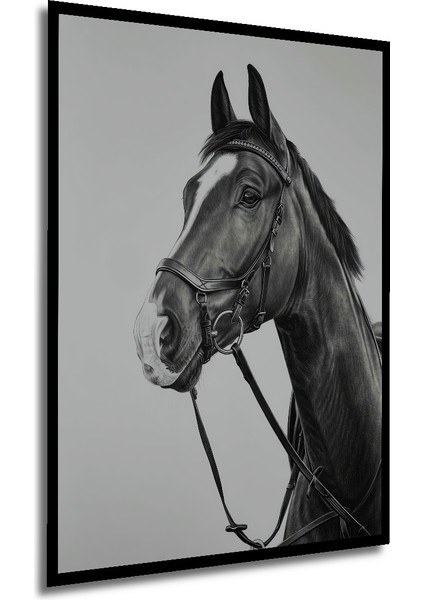 Asil Atın Siyah Beyaz Kara Kalem Ahşap Dekoratif Tablosu Dikdörtgen Tablo