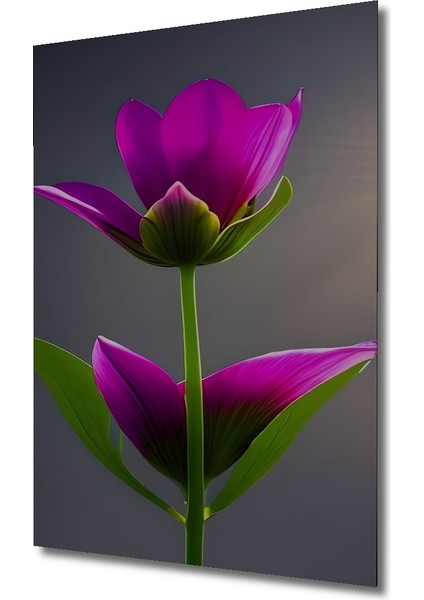 Fuşya Lale Yağlı Boya Görünümlü Ahşap Dekoratif Tablo Dikdörtgen Tablo modelleri