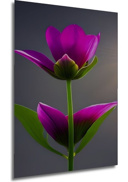 Fuşya Lale Yağlı Boya Görünümlü Ahşap Dekoratif Tablo Dikdörtgen Tablo fırsatları